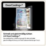 LG GBG7190CEV Kühl-Gefrierkombination, 349 L – Produktansicht 3